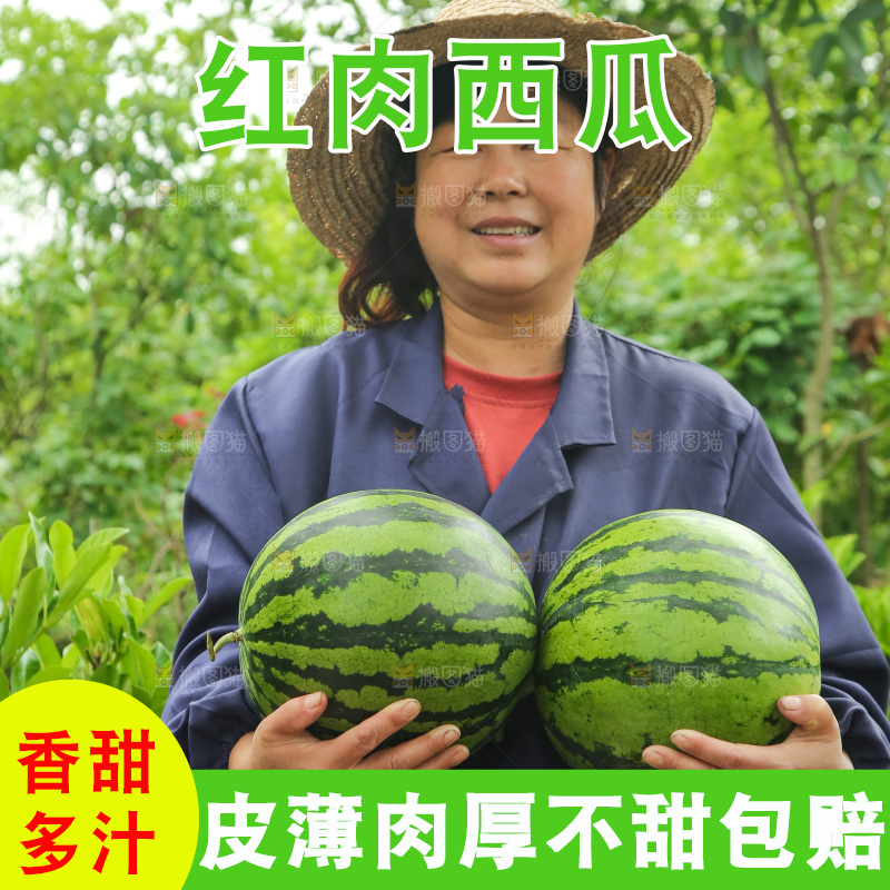 手里抱着西瓜