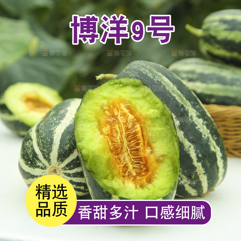 桌子上放着博洋9号甜瓜