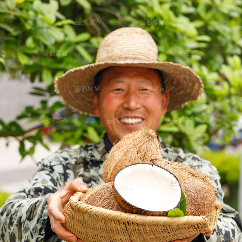 手里端着一篮海南毛椰子