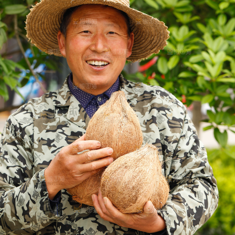 手里抱着牛奶老椰子