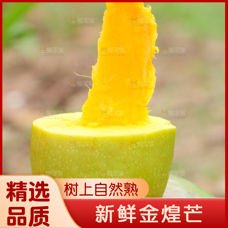 新鲜的青皮金煌芒