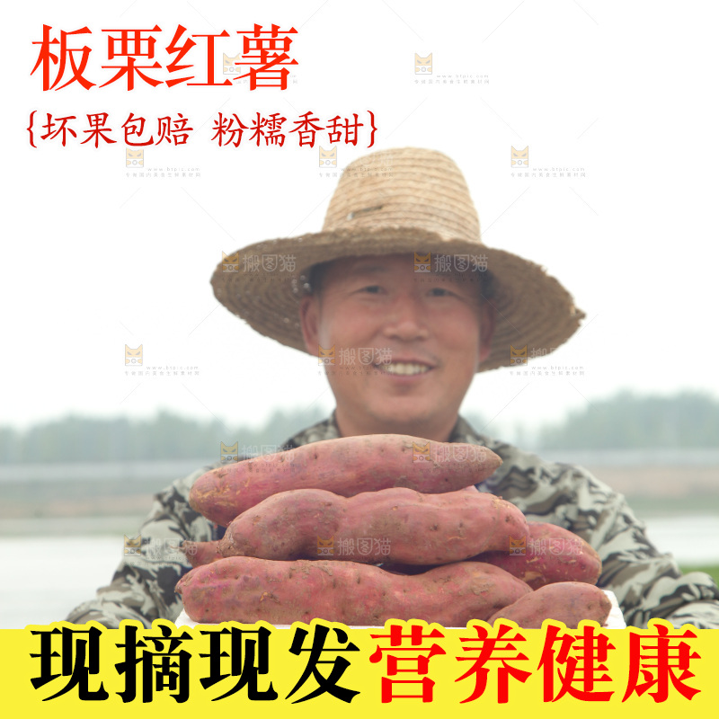 手里端着一箱板栗薯