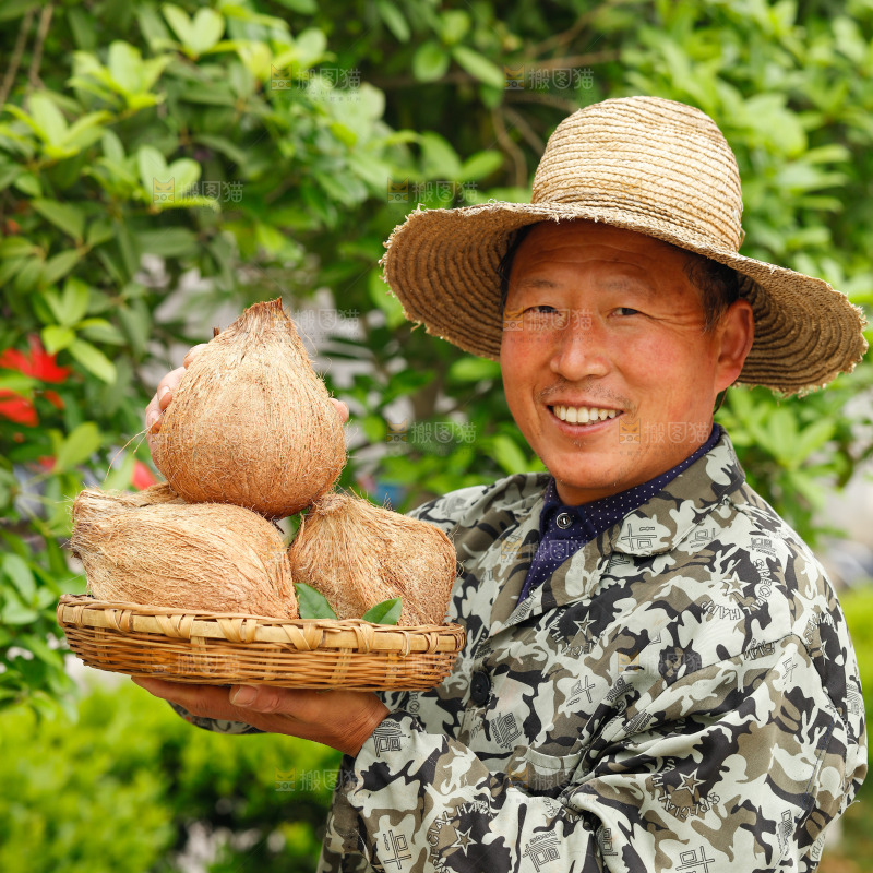 手里端着一篮海南老椰子