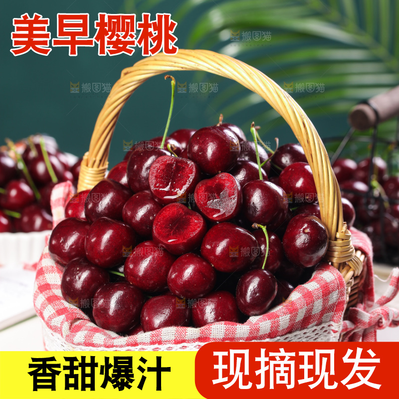 一篮美早大樱桃