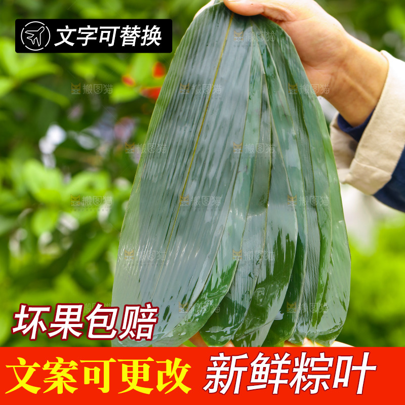 手里拿着新鲜粽叶