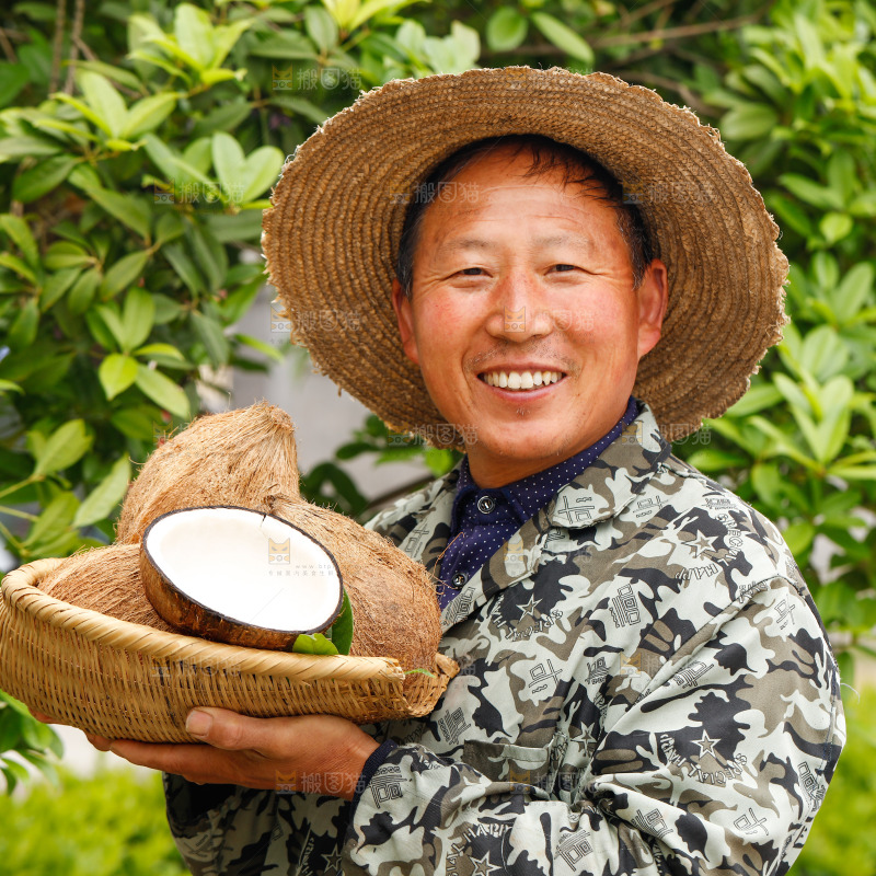 手里端着一篮海南毛椰子