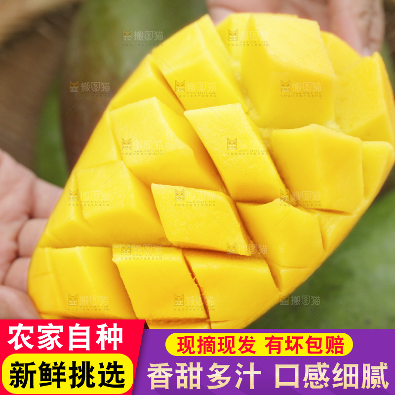 金煌芒果果肉