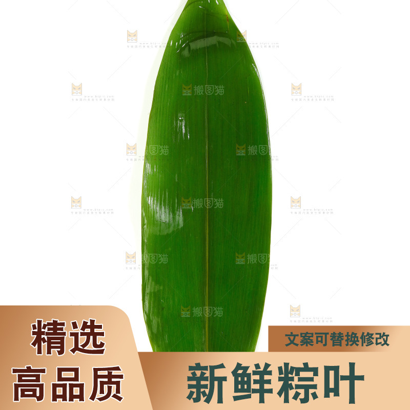 白底上放着新鲜粽叶
