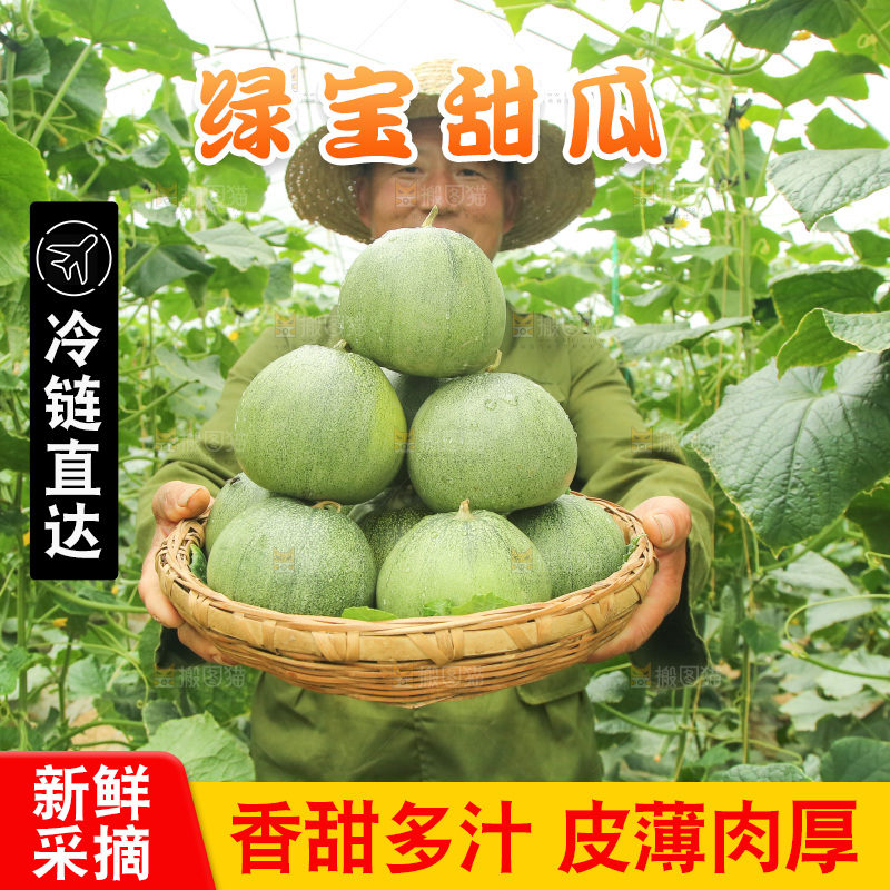 手里端着一篮绿宝石甜瓜
