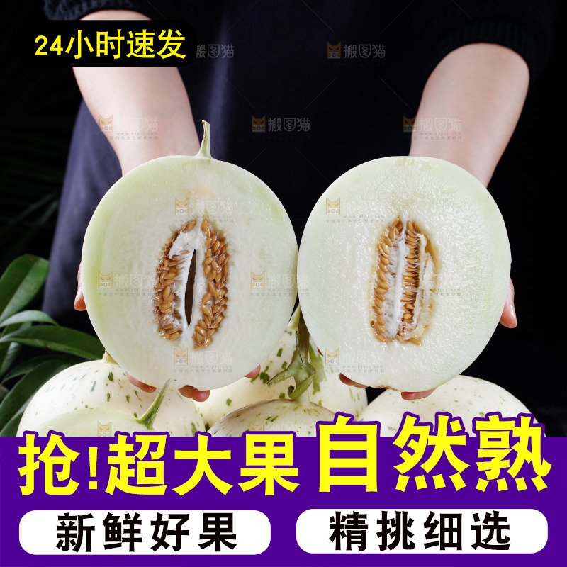 月露流星蜜瓜主图