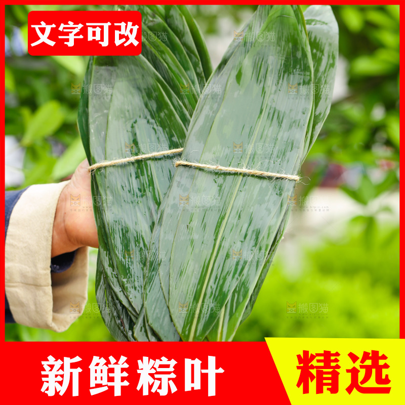 手里拿着粽子叶