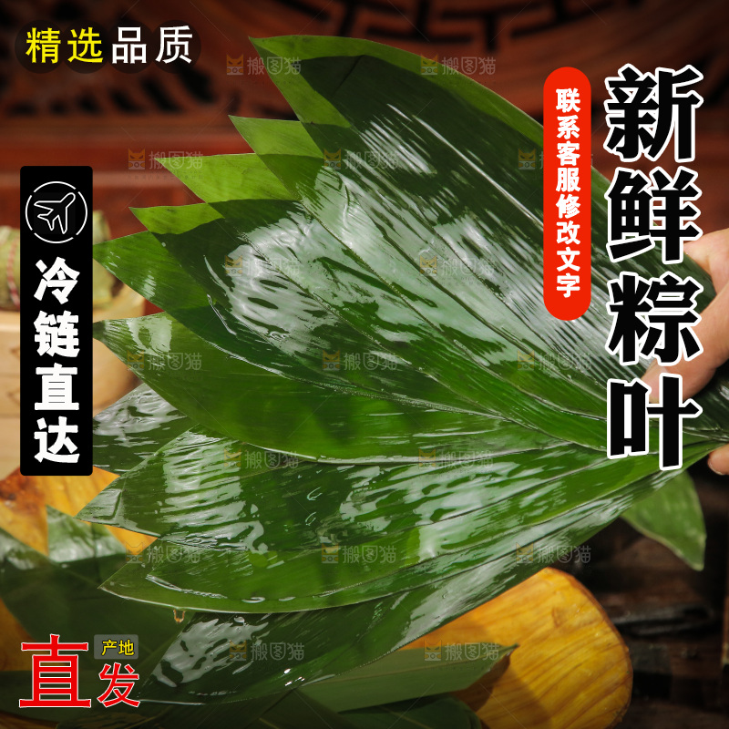 手里拿着新鲜粽叶