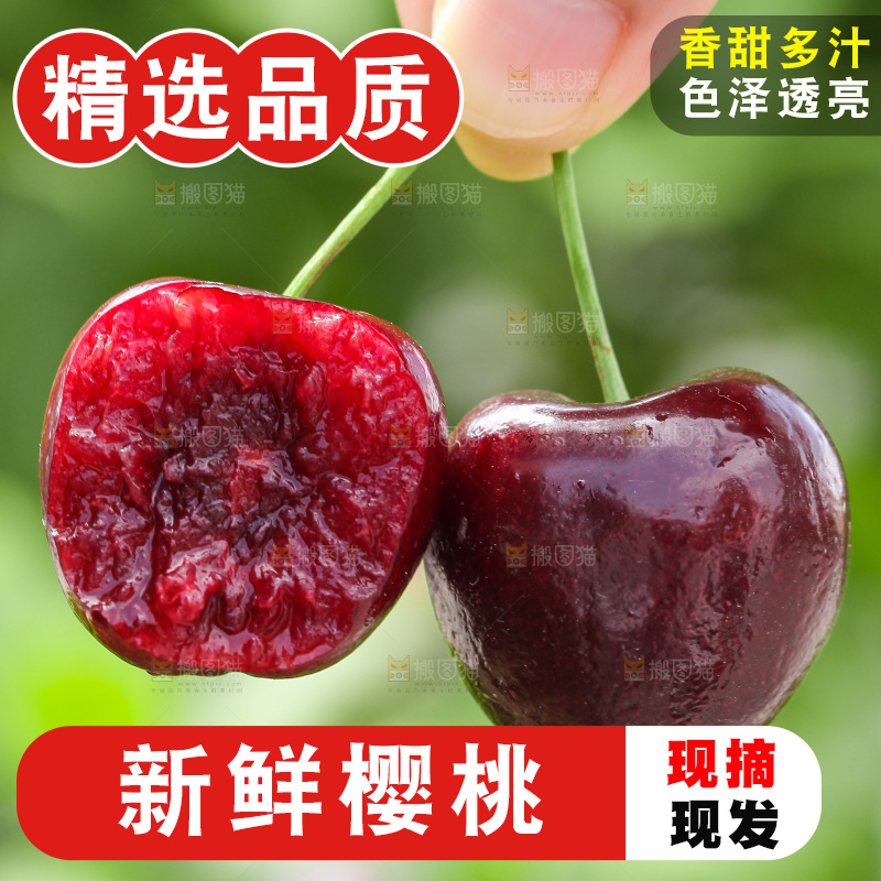 手里拿着大樱桃