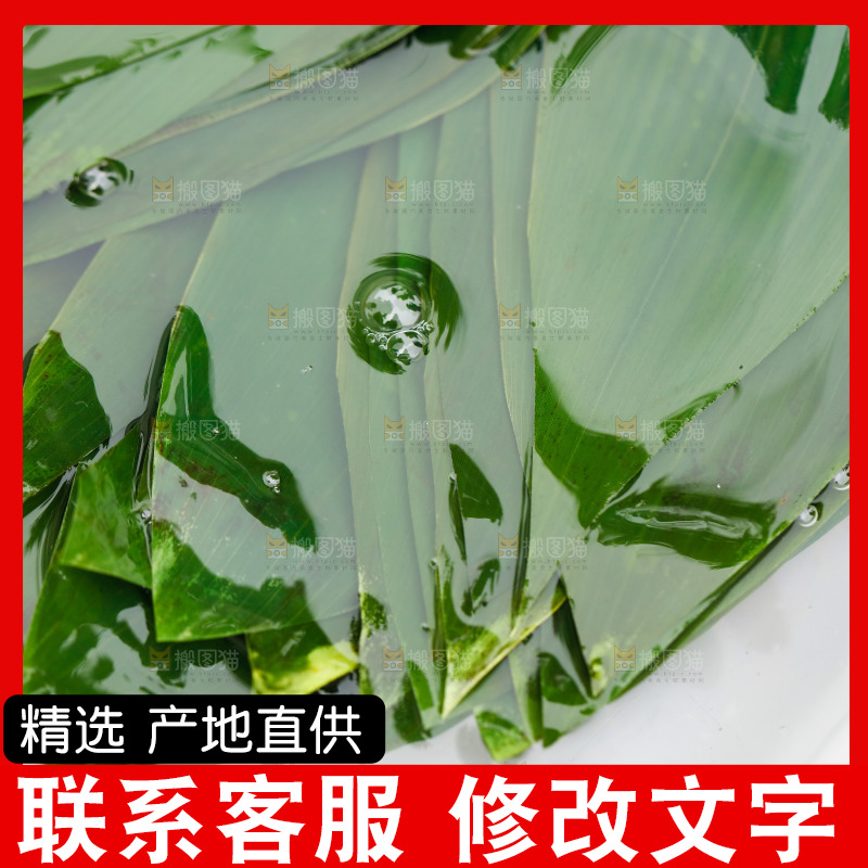 新鲜的粽子叶