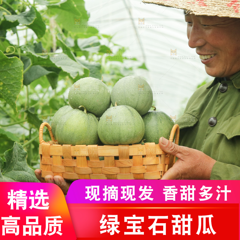 手里端着一篮绿宝石甜瓜