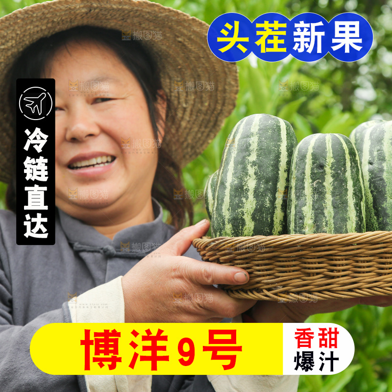手里端着一篮博洋9号