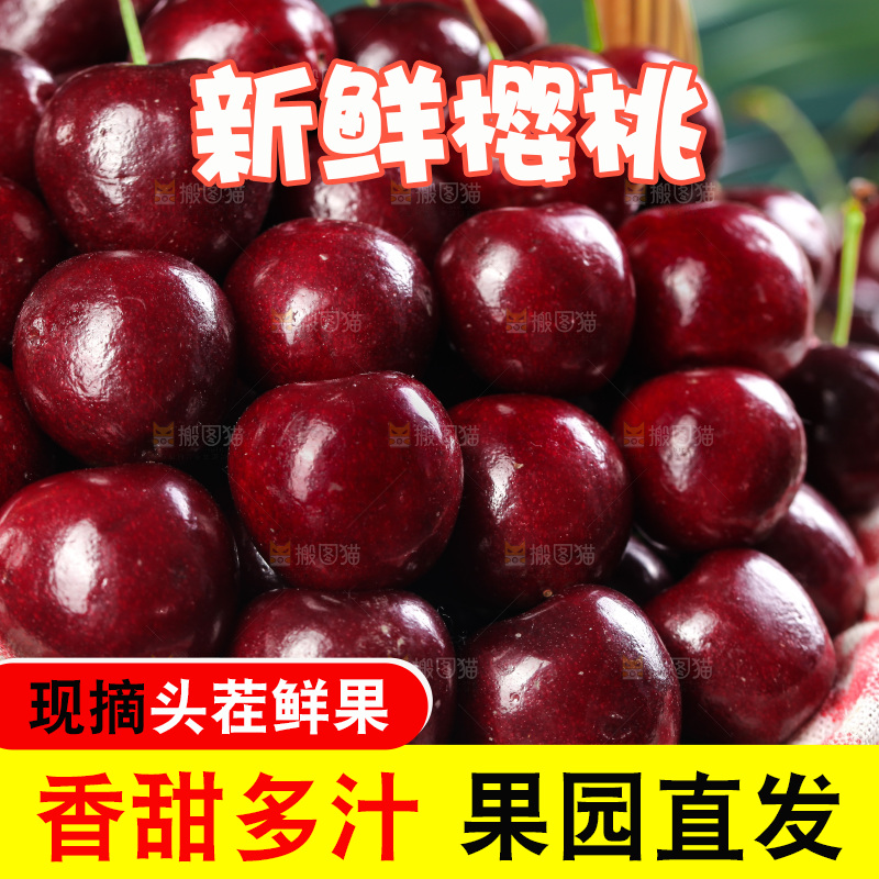 一篮大连美早樱桃