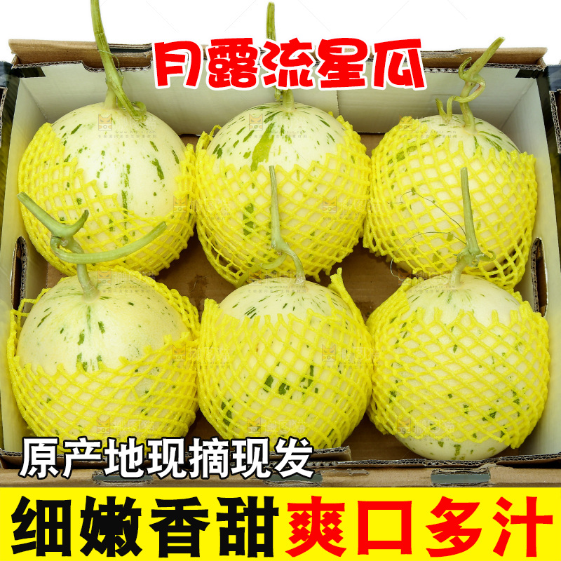 白底上放着一箱月露流星瓜