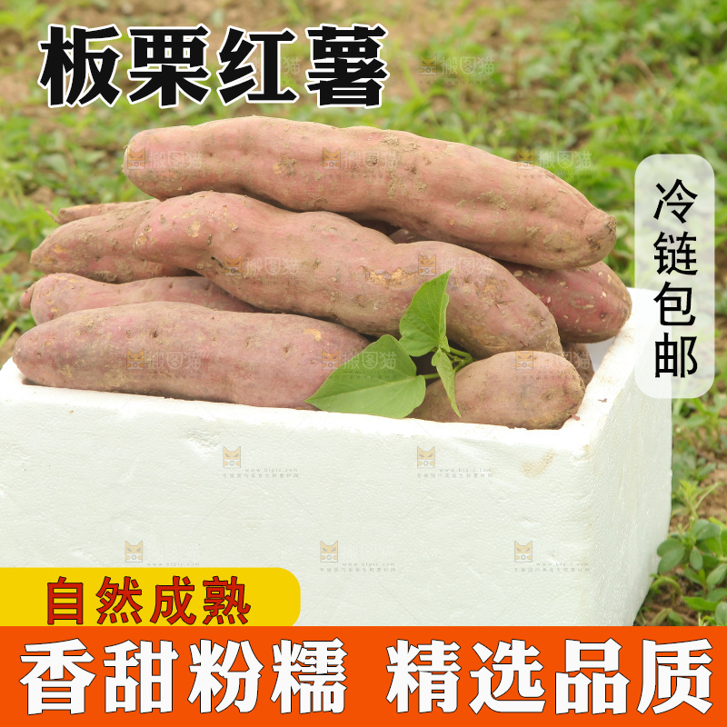 一箱白心板栗红薯