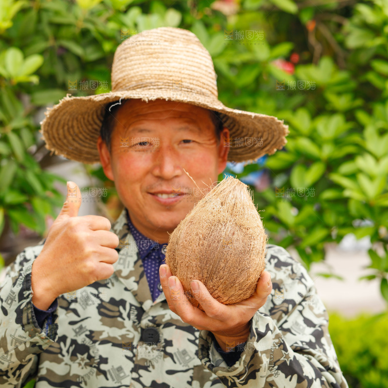 果农手里拿着老椰子