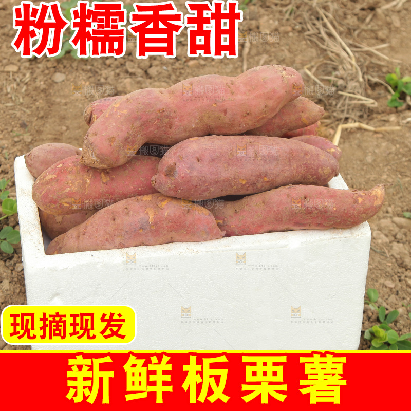 一箱白心板栗红薯
