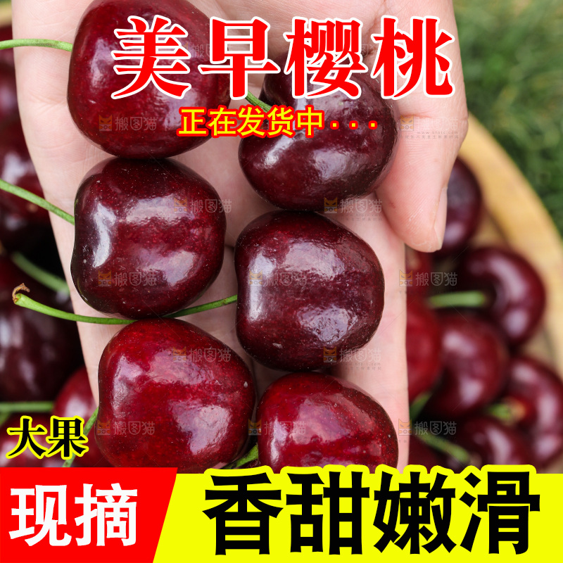 手里拿着大樱桃