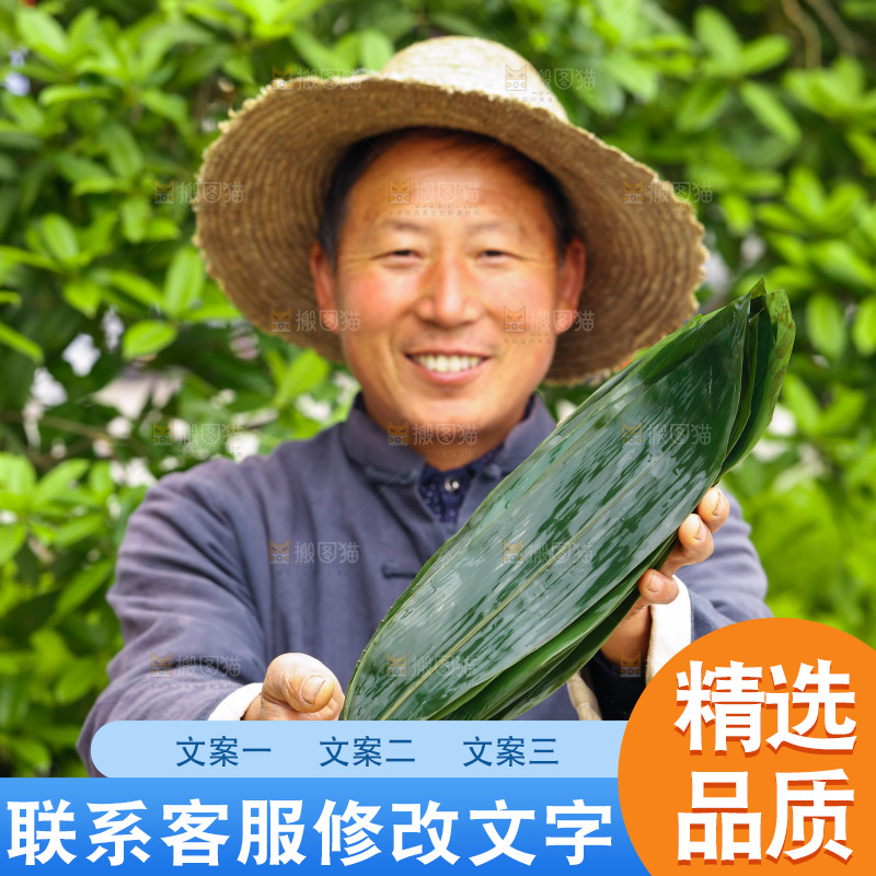 手里拿着粽叶