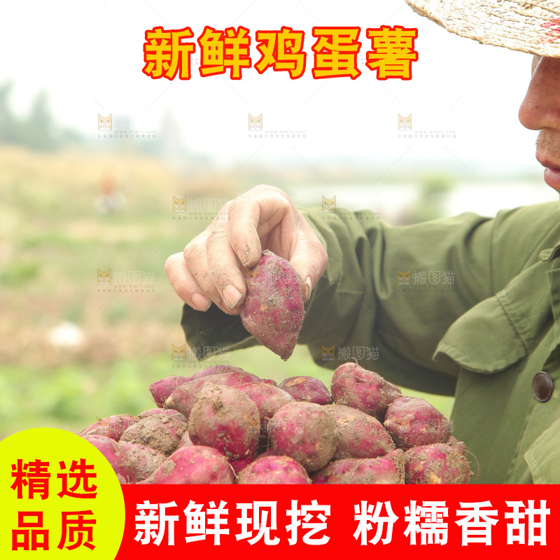 手里端着一篮新鲜鸡蛋薯