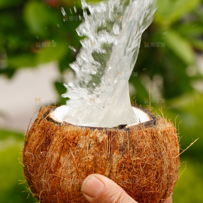 水花四溅的椰子汁