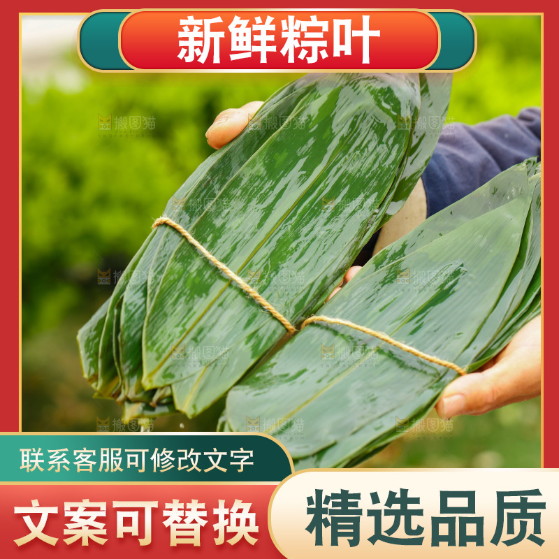 手拿着新鲜粽叶