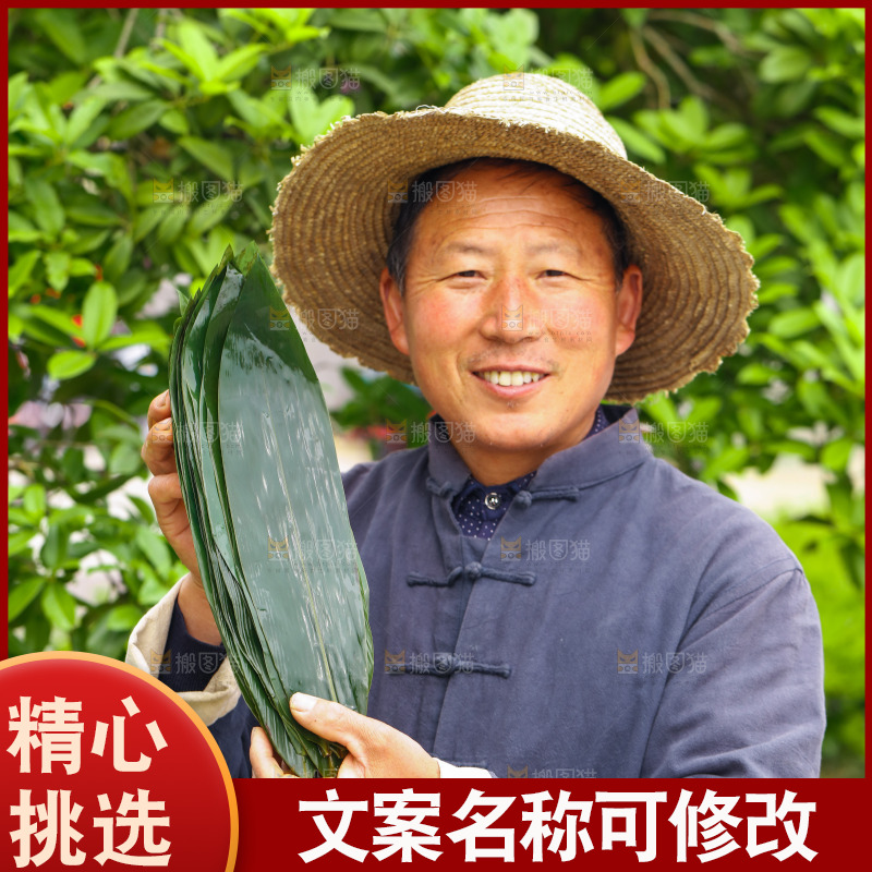 手里拿着粽叶