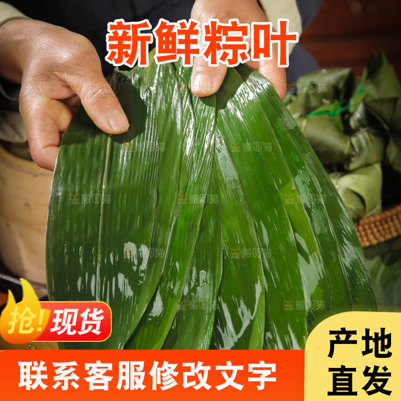 手里拿着新鲜粽叶