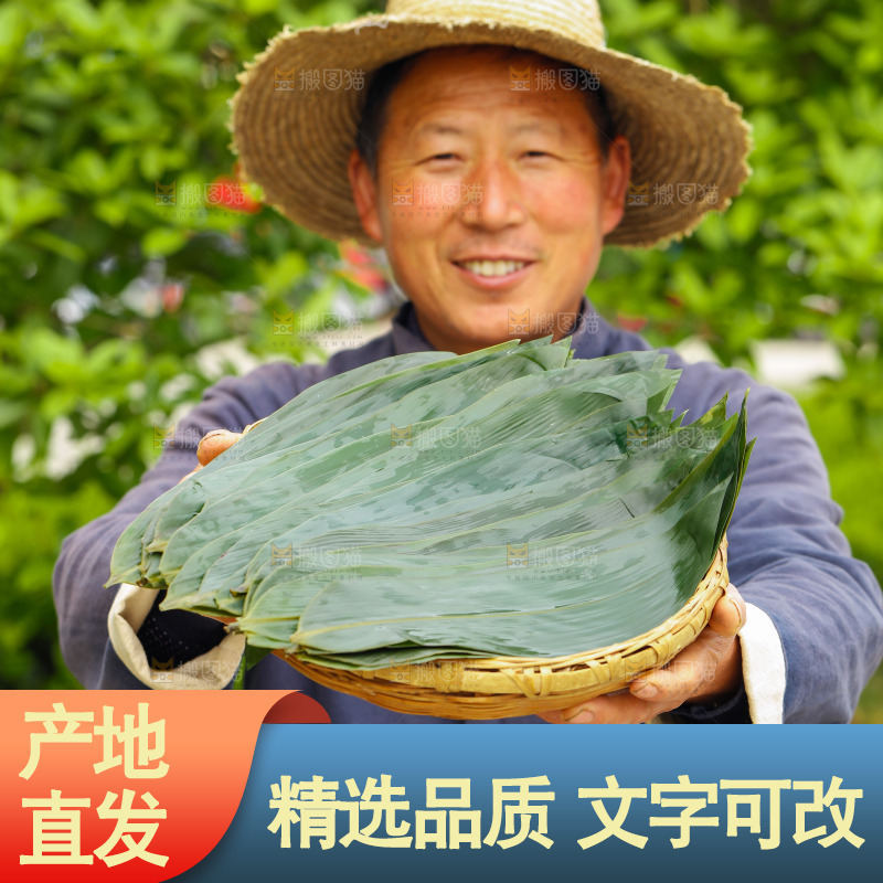 手里端着一篮新鲜粽叶