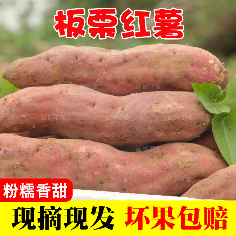 一箱白心板栗红薯