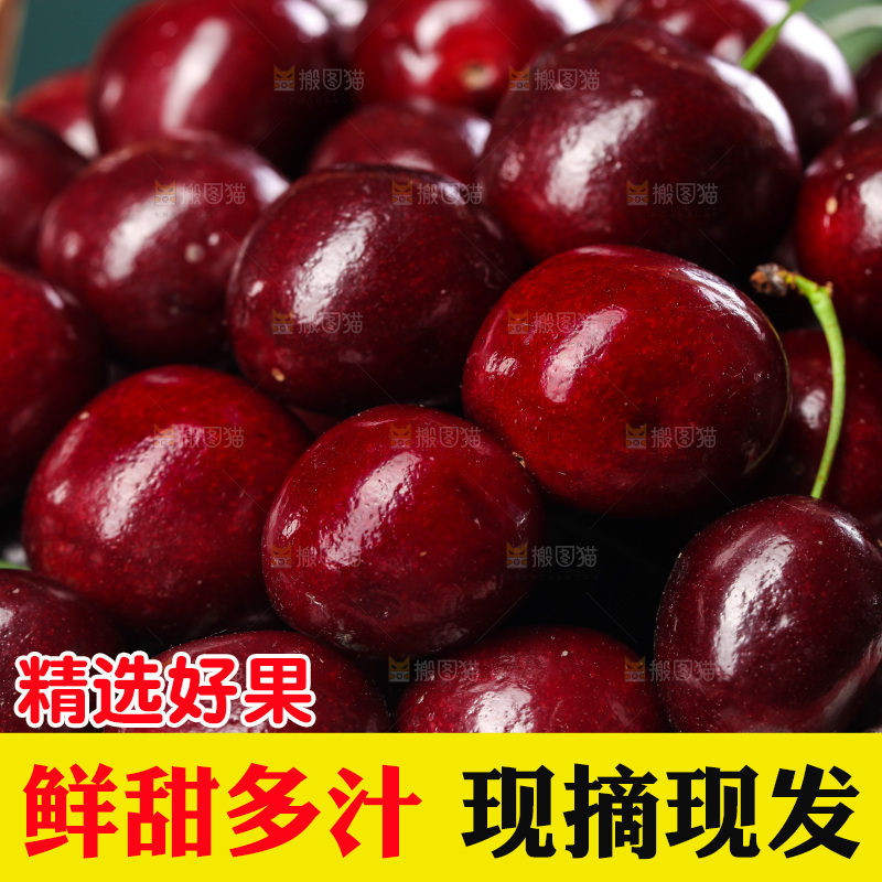 一篮美早大樱桃