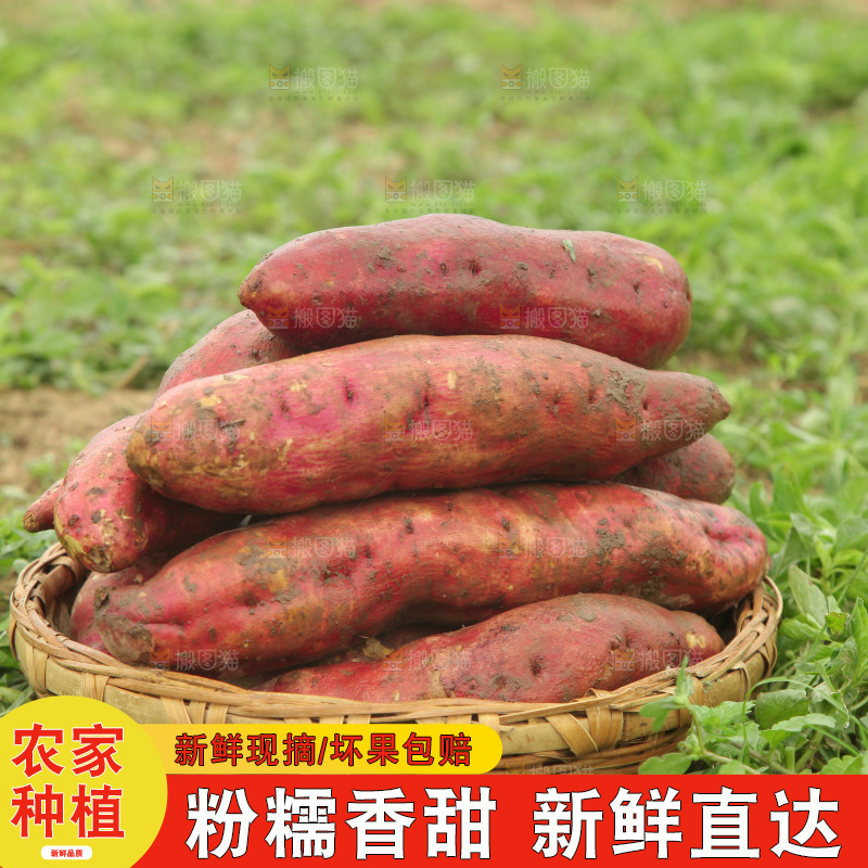 一篮板栗红薯