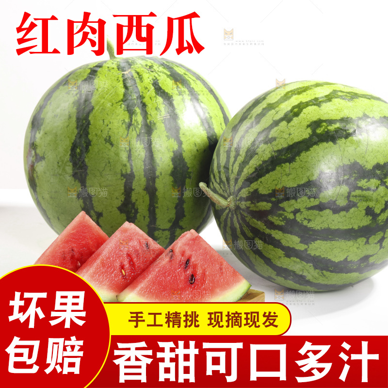 白底上的红肉西瓜