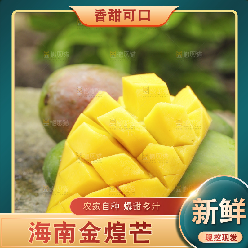 石板上放着金煌芒果
