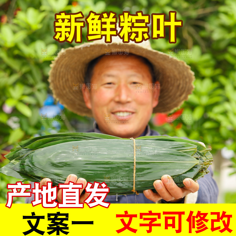 手拿着新鲜粽叶