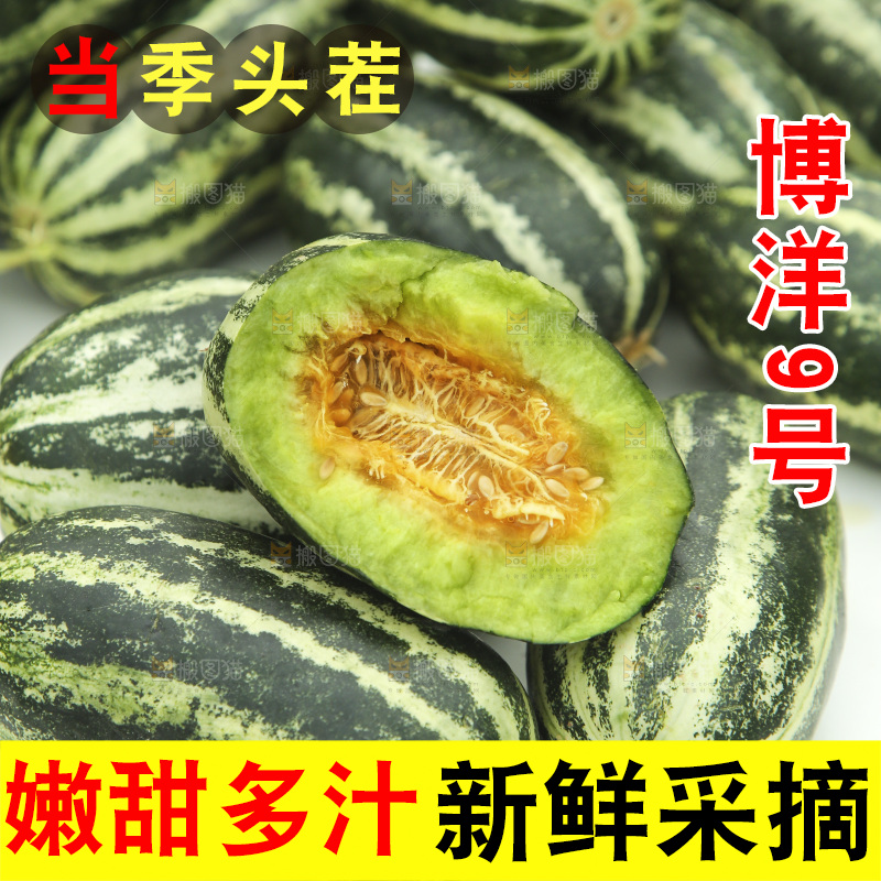 桌子上放着博洋9号甜瓜