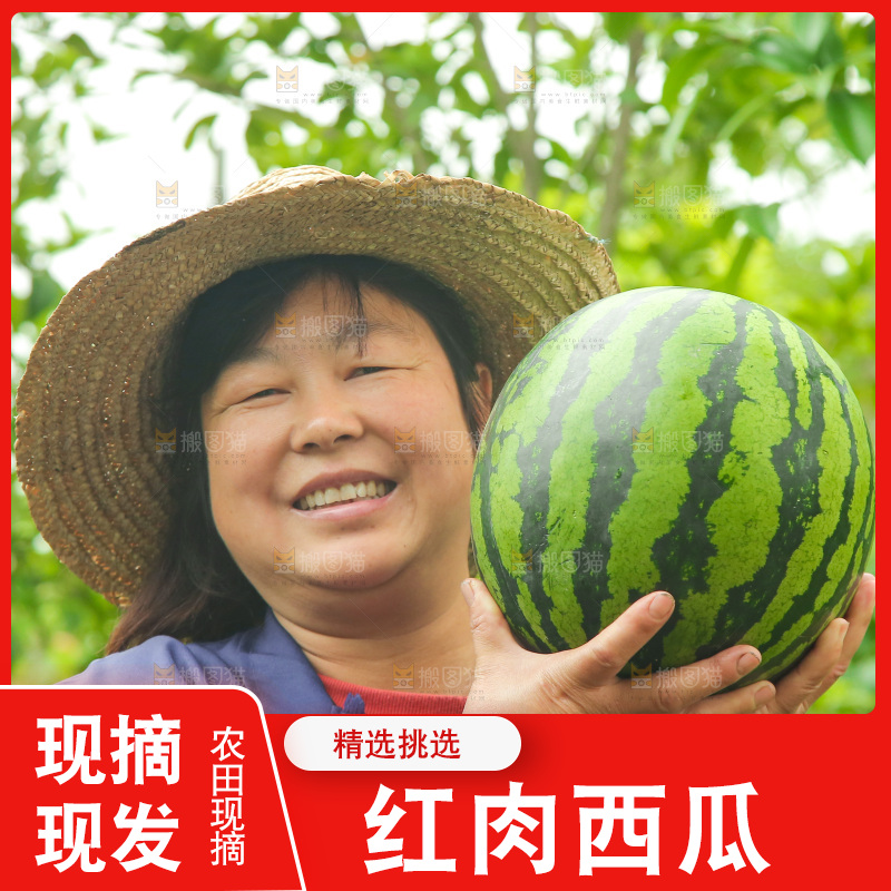手里抱着西瓜
