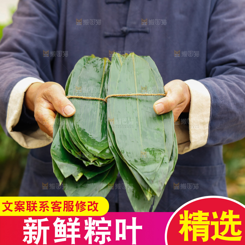 手拿着新鲜粽叶