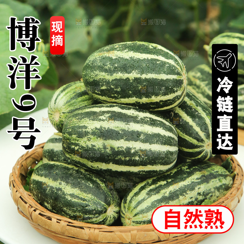 桌子上放着一篮博洋9号