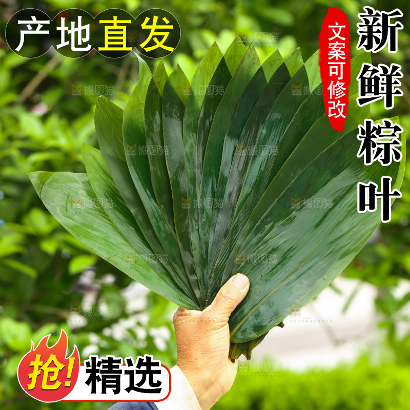 手里拿着粽叶