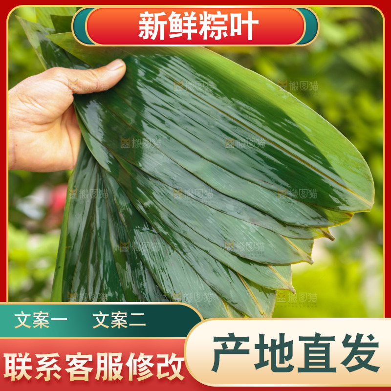 手里拿着粽子叶