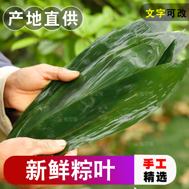 手里拿着粽子叶