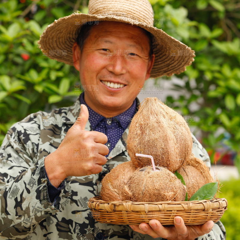 手里端着一篮海南老椰子