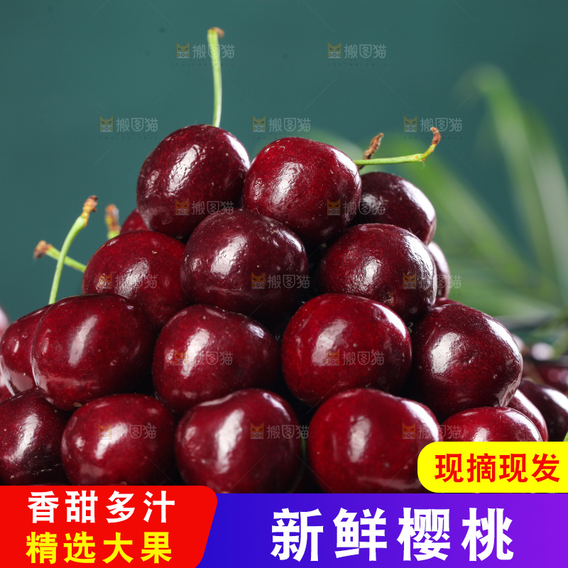 一堆山东大樱桃