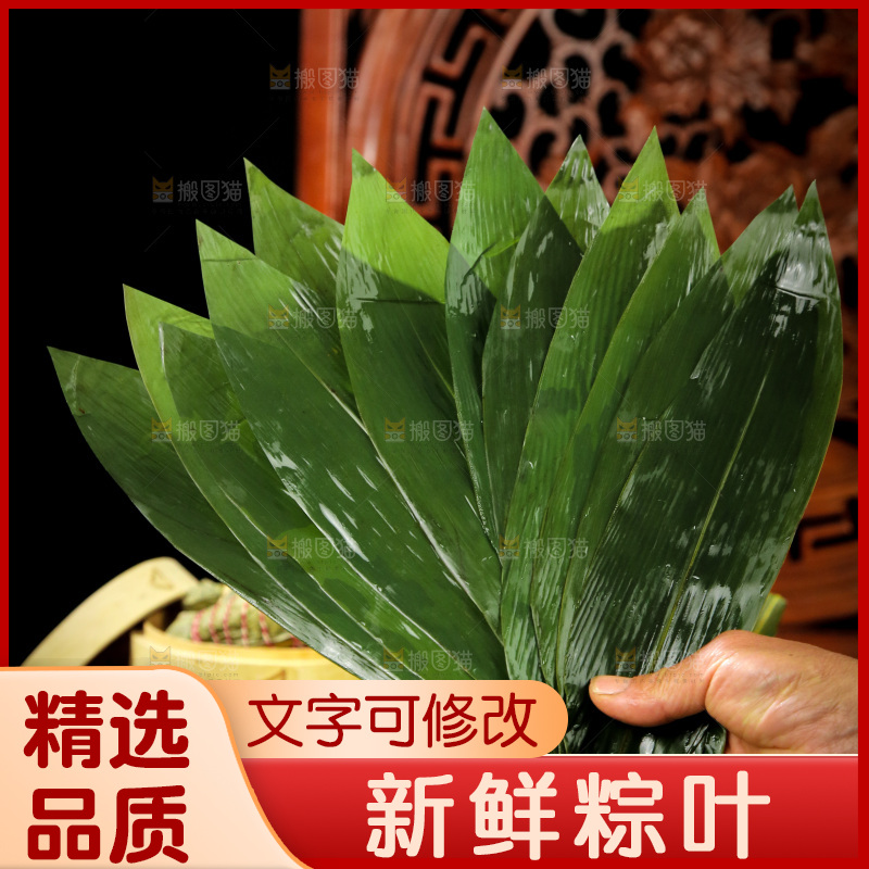 手里拿着新鲜粽叶