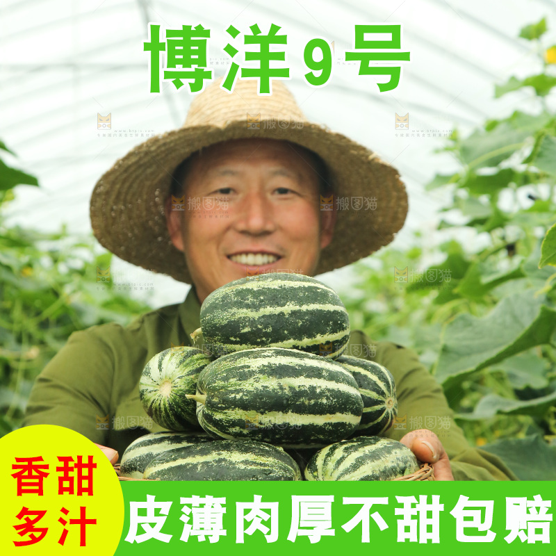 手里端着一篮博洋9号